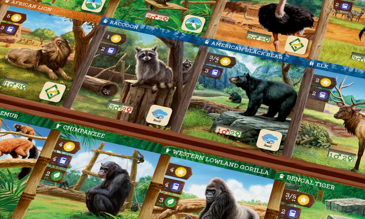 zoo tycoon brettspiel karten